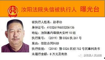 洛阳最新爆料消息,千年古都焕新颜,揭秘背后故事与未来展望